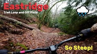 Eastridge Woods MTB. A fair review in the wet? 🌧🌧🌧