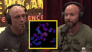 Joe Rogan: The future of STEM CELL products
