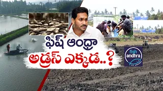 Fish Andhra Hub Project Struggling | Due to No Incentives From Jagan Govt. || Idi Sangathi