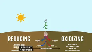 Оливье Юссон агроном из Франции о роли редокс потенциала почв