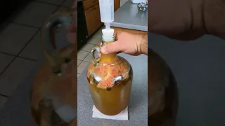 How To Prevent Your Mead From Exploding Onto Your Ceiling - Push Down The Fruit Cap