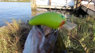 Micro Crankbait Fishing In Saltwater