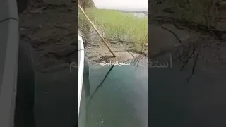 العثور على جثة في مياه النيل لا حول ولا قوه الا بالله