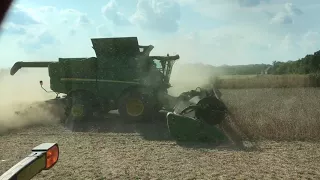 John Deere S680 and 645FD Draper | Harvesting Beans