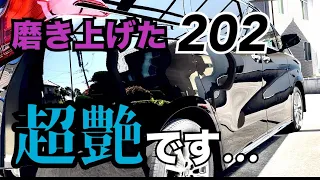 86回目　拭き傷、水シミのついた202を磨き上げたら超艶に！