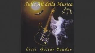 Cicci Guitar Condor - My honey (instrumental guitar)