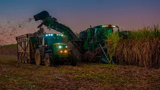 Cómo Funciona una Cosechadora de Caña de Azúcar