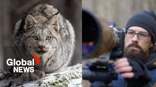 BC man named Canadian Geographic Photographer of the Year for stunning wildlife snapshots