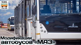 Разновидности и модификации автобусов МАЗ | Bus "MAZ"