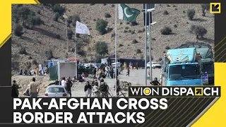 Taliban says it hit back at Pakistan after air strikes in Afghanistan | WION Dispatch