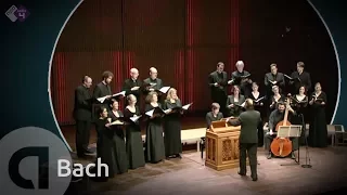 J.S. Bach: Motet BWV 225 'Singet dem Herrn' - Vocalconsort Berlin