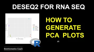 RNA Seq deseq  tutorial & visualization | PCA plot with R