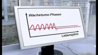 Doping für die Haare