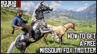 MISSOURI FOX TROTTER - Red Dead Redemption 2 Story Mode