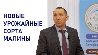 Какие сорта малины выбрать весной 2023 года. Лекция Евдокименко Сергей Николаевича