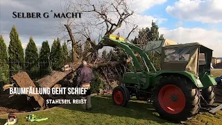 Stahlseil reißt, Baumfällung geht schief | Fendt Farmer im Wald  | Husqvarna im Einsatz