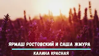 саша жмура ярмаш ростовский