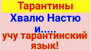 Многодетная семья Тарантиных//Дети//Обзор видео