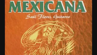 GUITARRA INSTRUMENTAL MIX 14 EXITOS MEXICANOS PEGADITOS INTERPRETA SAUL FLORES (RESUBIDO)