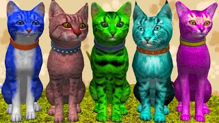 Симулятор КОТА и КОШКИ #16 Синий, розовый и зеленый котенок - Разноцветные коты Кида на пурумчата