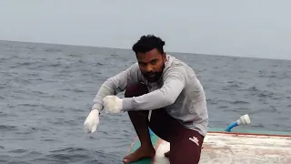 Big one in Boat