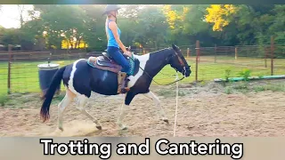 Trotting and Canter lesson - Western Horsemanship adult beginner