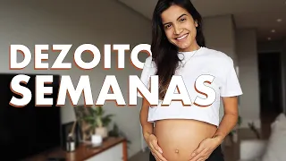 DIÁRIO DA GRAVIDEZ | Tamanho do bebê, cremes para estrias e mais 🤰🏽18 semanas | Vanessa Lino