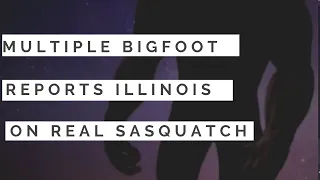 All New Sighting Reports Illinois on Two Bigfoot Fridays 🙉