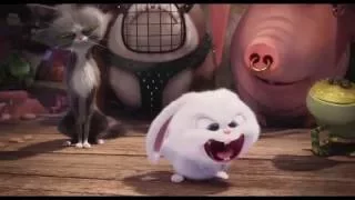 Тайная жизнь домашних животных   The Secret Life of Pets 2016 Трейлер HD