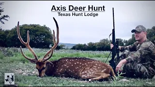 Texas Axis Deer Hunting - Hunting a BIG Axis Deer at Texas Hunt Lodge - Texas Exotic Hunting