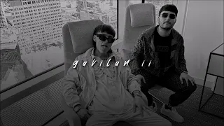 Peso Pluma + Tito Double P, GAVILÁN II | slowed + reverb |