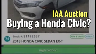IAA Live Auction, Buying A Honda Civic?