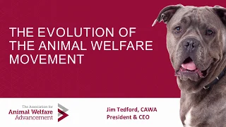 Evolution of the Animal Welfare Movement - conference recording