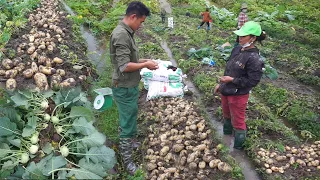 Make a bamboo bridge,continue to harvest potatoes and kohlrabi to sell at the garden to traders Ep25