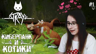 КИБЕРПАНК И КОТИКИ ● Stray #1