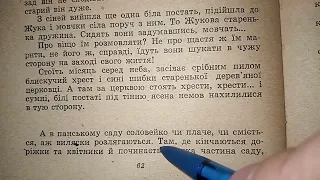 читаємо українською#оповідання#степан васильченко#на чужину