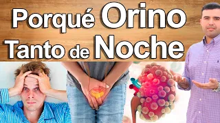 PORQUÉ ORINO MUCHO DE NOCHE - EN VIVO - Como Dejar de Orinar Tanto Por La Noche