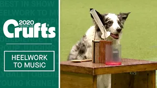 Freestyle Heelwork To Music - Part 1 | Crufts 2020