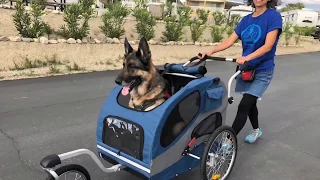 Tripawd Tries a Dog Stroller and Bicycle Trailer