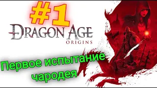 ПРОХОЖДЕНИЕ  Dragon Age: Origins PC ПЕРВОЕ ИСПЫТАНИЕ ЧАРОДЕЯ  ➥  Озвучка  #1