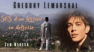 SOS d'un terrien en detresse - Gregory Lemarshal - cover (violin)