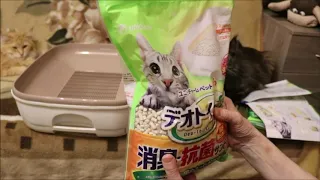 Распаковка Японских системных биотуалетов для кошек