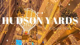 Tour degli Hudson Yards| Edge, shopping, galleria d'arte e ristorante con splendida vista notturna