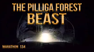 Sasquatch in the Pilliga Forest - A Yowie Story - Marathon 134