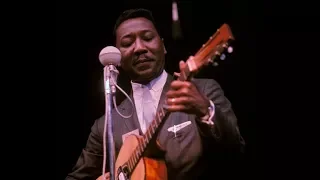 Muddy Waters (acoustic) at Newport 1968