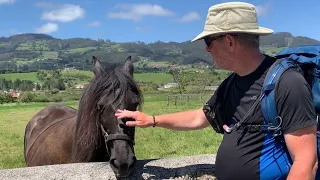 1/2 Way Point - Colunga to Villaviciosa - Day 19