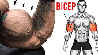 8 Best Bicep Exercises at Gym for Bigger Arms