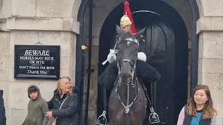 Ignorant rude and stupid tourists #horseguardsparade