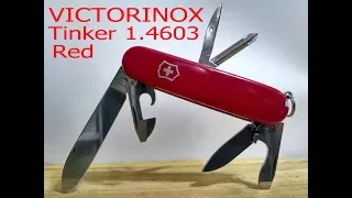 VICTORINOX Tinker 1.4603. Обзор ножа.