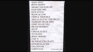 Beastie Boys - Live in Argentina 2006 p2